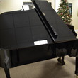 1994 BIG Kawai grand with a powerful tone - Grand Pianos